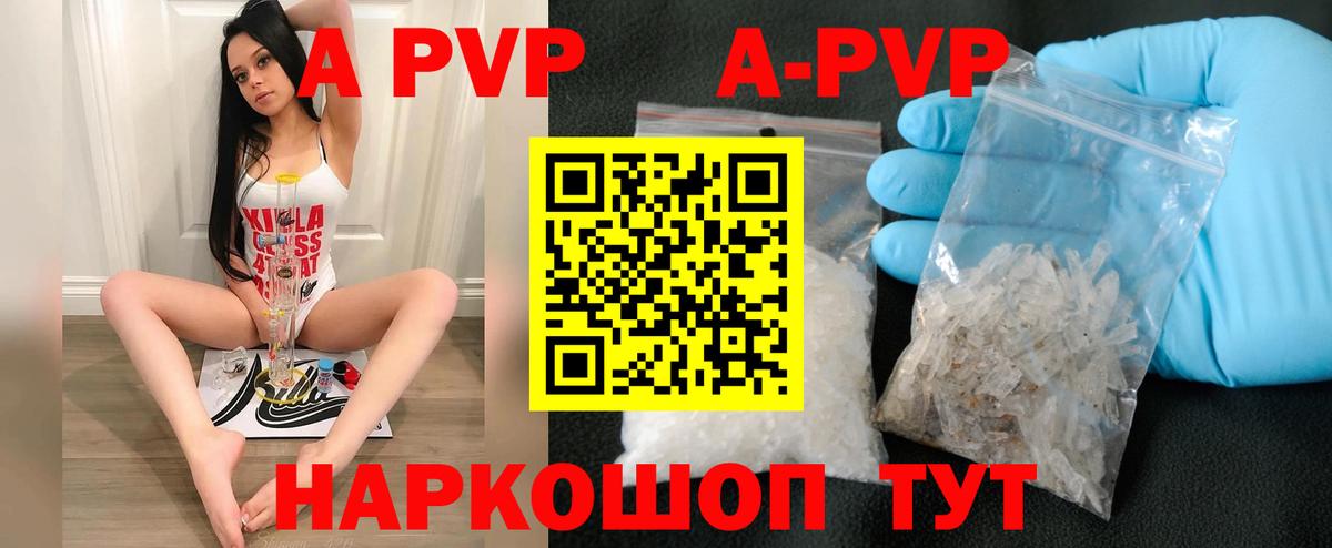 A PVP СК Луга