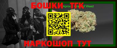 индика Будённовск