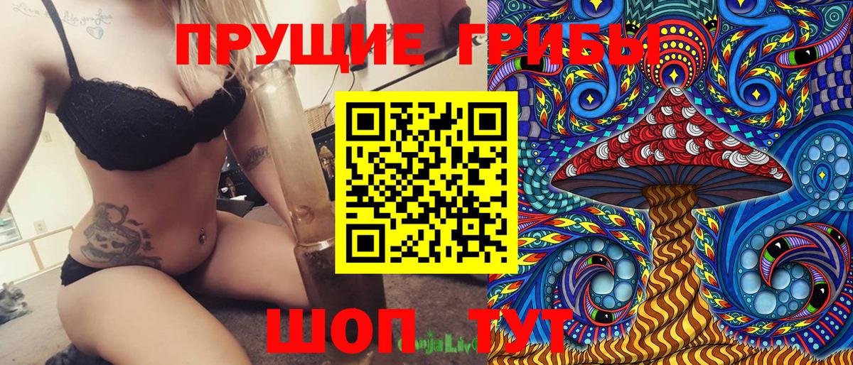 Галлюциногенные грибы прущие грибы  Вход с VPN  Луга 